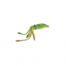 88801014 PL�SCH Gr�ne TINTENFISCH